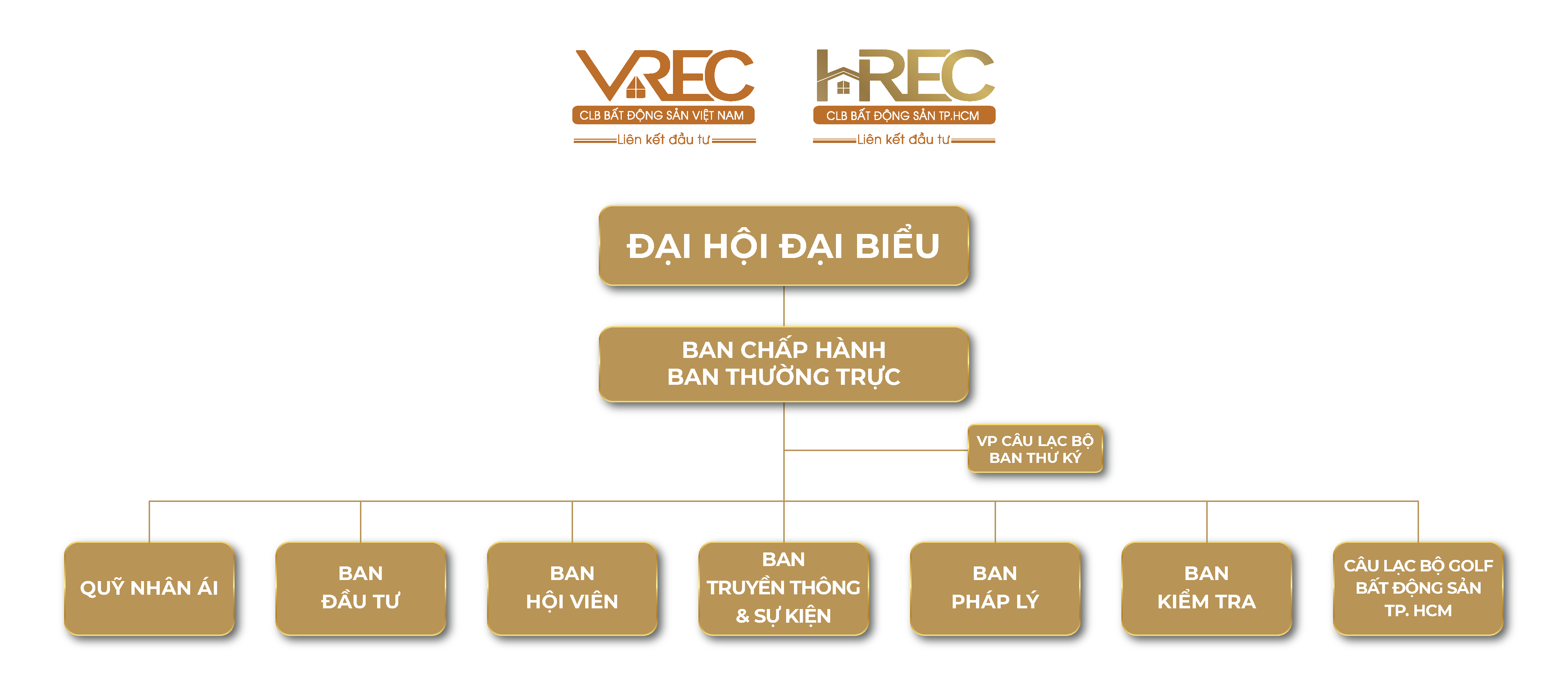 Cơ cấu tổ chức