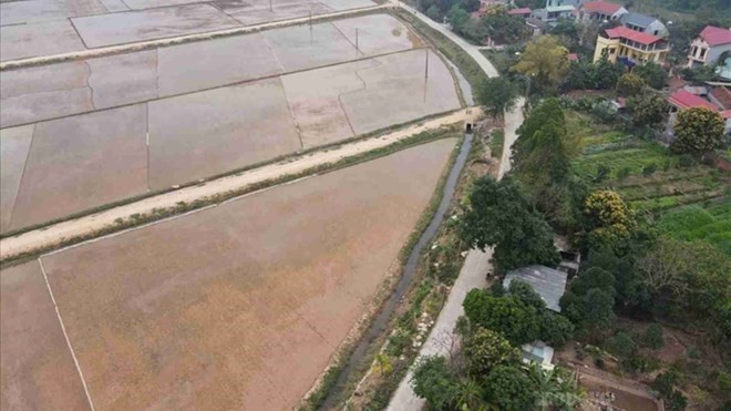 NHỮNG ĐIỂM MỚI CỦA ĐẤT NÔNG NGHIỆP TRONG LUẬT ĐẤT ĐAI 2024 SO VỚI LUẬT 2013